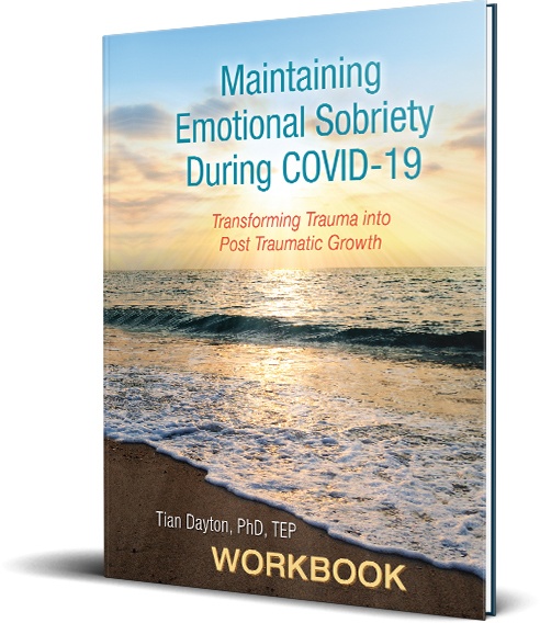 Maintaining Emotional Sobriety During Covid-19 book cover
